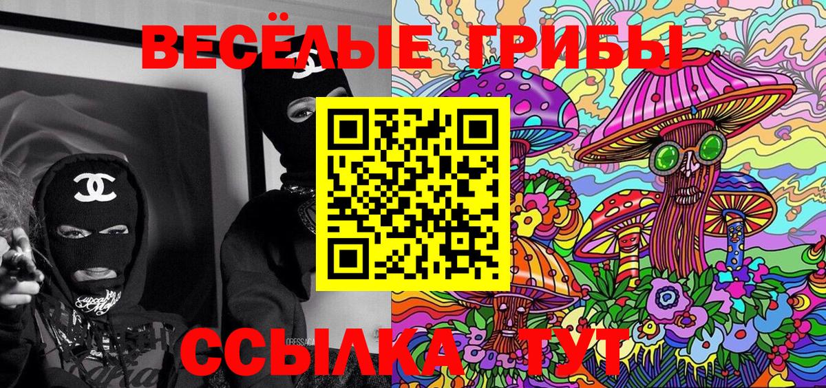 Галлюциногенные грибы Cubensis  Вход с VPN  Галлюциногенные грибы GOLDEN TEACHER  Озёры 