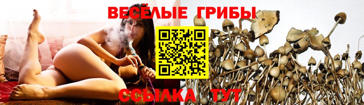 Галлюциногенные грибы мицелий Озёры